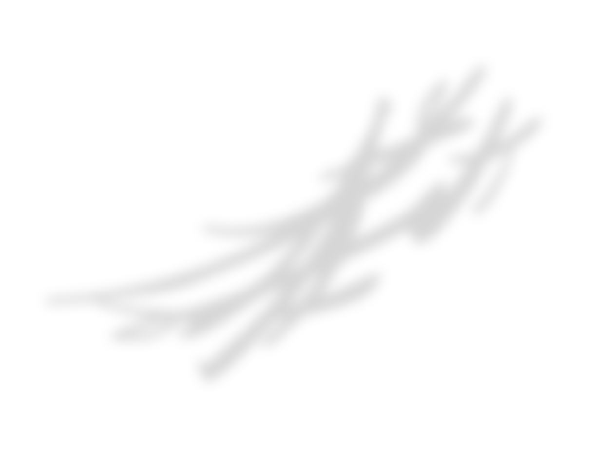 Trac 1731