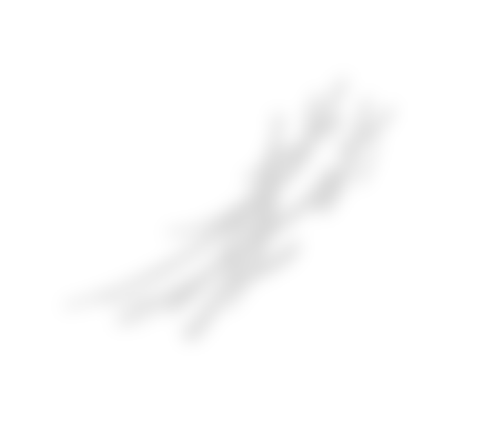 Trac 1731