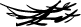 Trac 207
